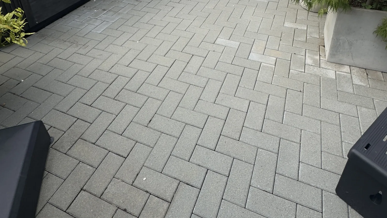 Freshly cleaned interlocking pavers in a South Surrey backyard